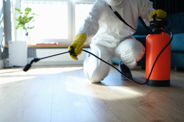 Reliable Odor Removal contractor in Converse, IN by Trauma Clean Pros